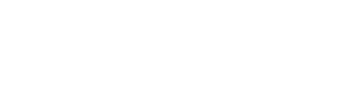 Momentum Miami